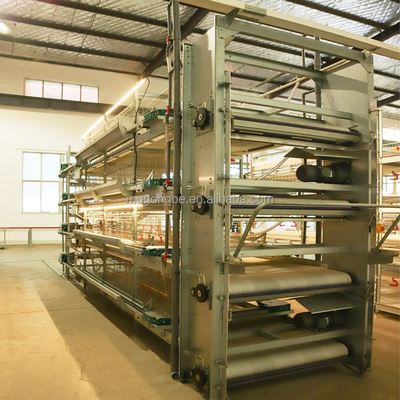 Multi Tiers H Type Chicks Brooder Cage Small Chicken Cage Fully Automatic