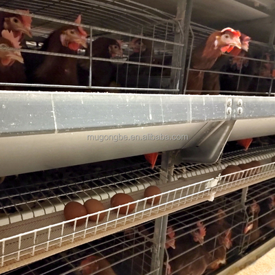 Poultry Farm Egg Chicken Layer Automatic Battery Cages Chicken Egg Laying Machine for Modern Design House System
