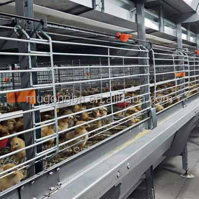 Factory Direct Hot Dip Galvanized H Type Chicken Cage for Broilers