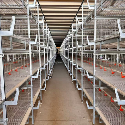 Factory Direct Hot Dip Galvanized H Type Chicken Cage for Broilers