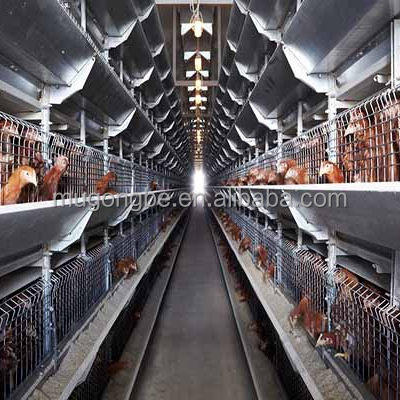 H Type Automatic Broiler Chicken Cage with Efficient Feeding System