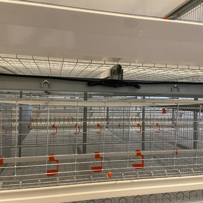 Hot Dip Galvanized H Type Automatic Battery Cage for Broiler Chickens