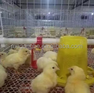 High Quality H Type Broiler Chicken Cage for Poultry Farming