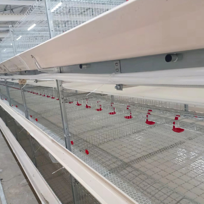 High Quality H Type Broiler Chicken Cage for Poultry Farming