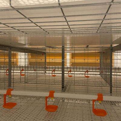 High Quality H Type Broiler Chicken Cage for Poultry Farming