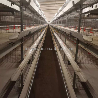 High Quality H Type Broiler Chicken Cage for Poultry Farming