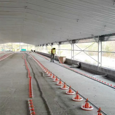High Quality Poultry Feeding and Drinking System for Broilers