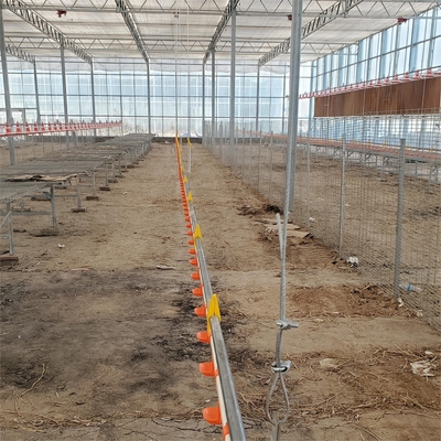 Poultry Farming Floor System with Feeders and Drinkers for Broilers