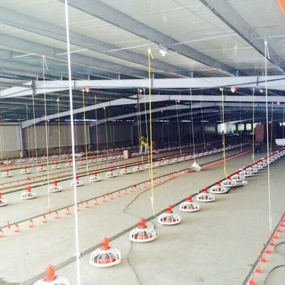 Long Lasting Chicken Floor System for Broiler Production