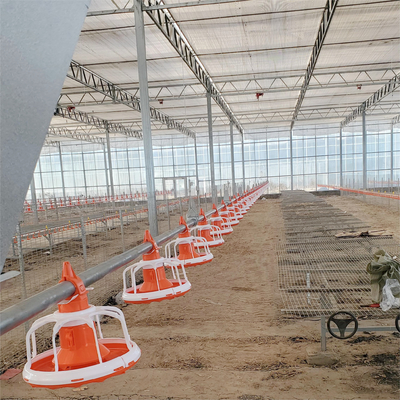 Best Price Broiler Chicken Floor System for Large Poultry Farms
