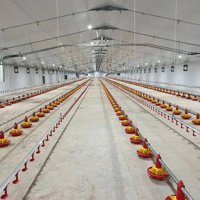 Poultry Flooring System for Broiler Chicken High Yield Farming