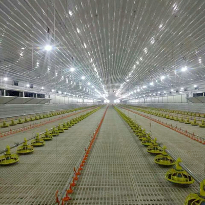 Long Lasting Poultry Floor System with Automatic Feeders for Broilers