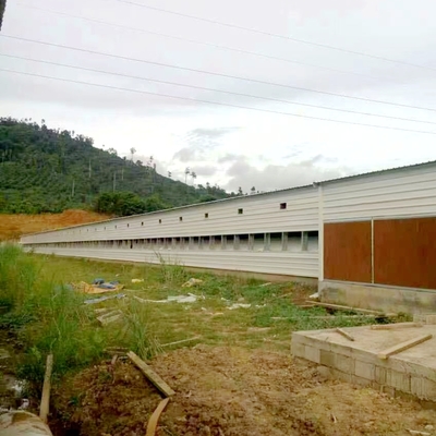 Long Lasting Poultry Floor System with Automatic Feeders for Broilers