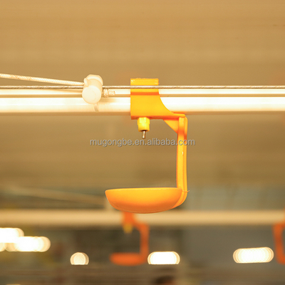 Professional Manufacturer Automated Battery Broiler Chicken Cage System for Chicken Breeding