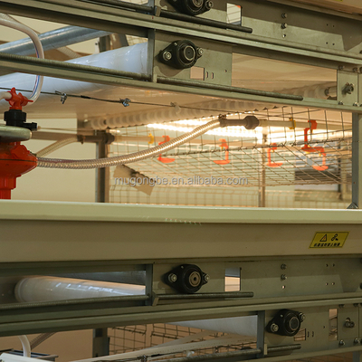 Broiler Farming Equipment Poultry Feeding Line System Chicken Cage With Automatic Feeders and Drinkers