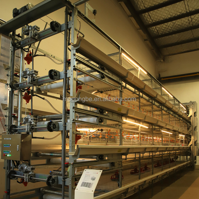 Factory Supply Design Automatic Chicken Broiler Poultry Farm Chicken Coops