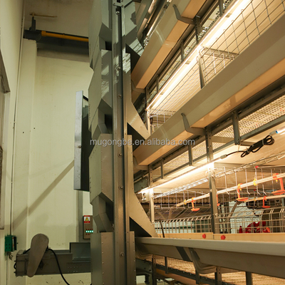 Factory Supply Design Automatic Chicken Broiler Poultry Farm Chicken Coops