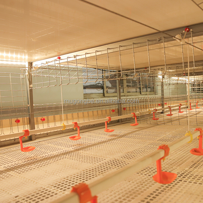 Factory Supply Design Automatic Chicken Broiler Poultry Farm Chicken Coops