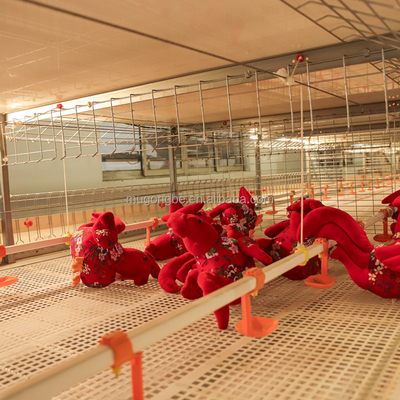 Factory Supply Design Automatic Chicken Broiler Poultry Farm Chicken Coops