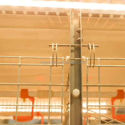 Factory Commercial Layer Broiler Farming Chicken House for Sale