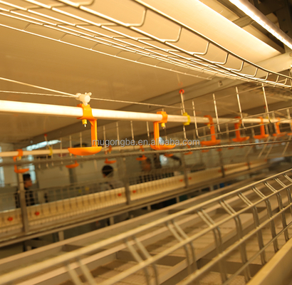 Factory Chicken Cage Battery System for Broiler Poultry Farming