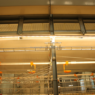 Factory Chicken Cage Battery System for Broiler Poultry Farming