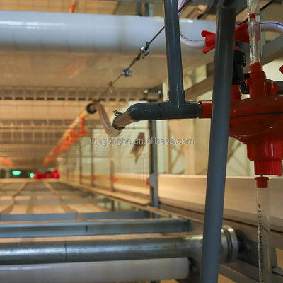 Factory Chicken Cage Battery System for Broiler Poultry Farming