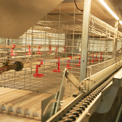 Complete Automatic Pullets Rearing Chicken Brooding Cage for Poultry Thousand Chickens