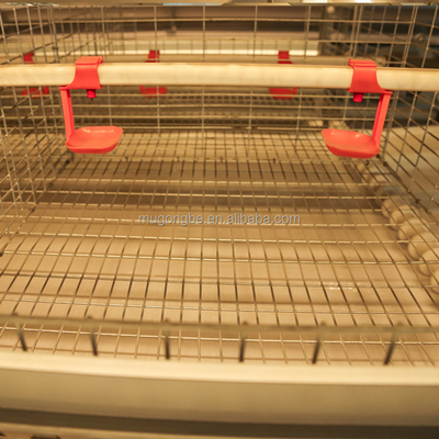 Complete Automatic Pullets Rearing Chicken Brooding Cage for Poultry Thousand Chickens