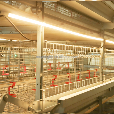 Multi Tiers H Type Chicks Brooder Cage Small Chicken Cage Fully Automatic