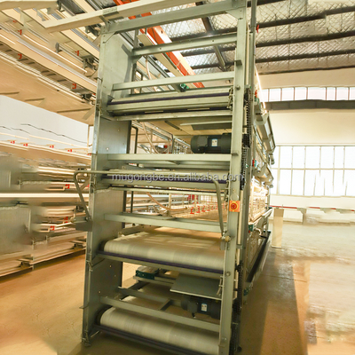 Multi Tiers H Type Chicks Brooder Cage Small Chicken Cage Fully Automatic