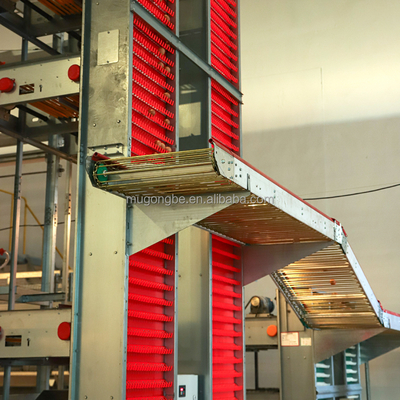 Layer Chicken Farming Automated H Frame Type 3 Tiers 4 Tiers Hen Layer Cage