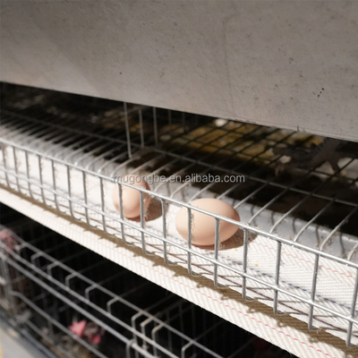 Poultry Farm Egg Chicken Layer Automatic Battery Cages Chicken Egg Laying Machine for Modern Design House System
