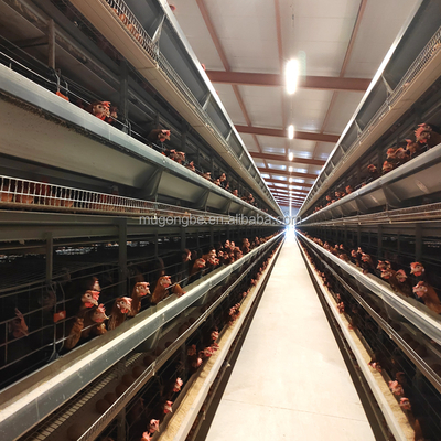 Poultry Farm Egg Chicken Layer Automatic Battery Cages Chicken Egg Laying Machine for Modern Design House System