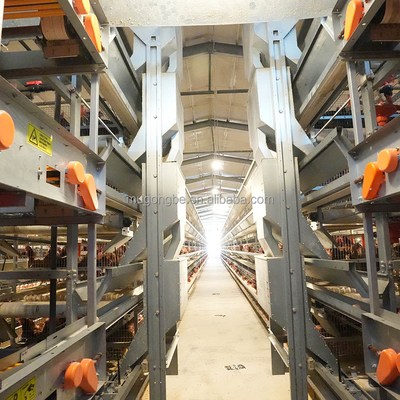 Automation Egg Layer Farming Chicken Cage for Poultry Farm Chicken House