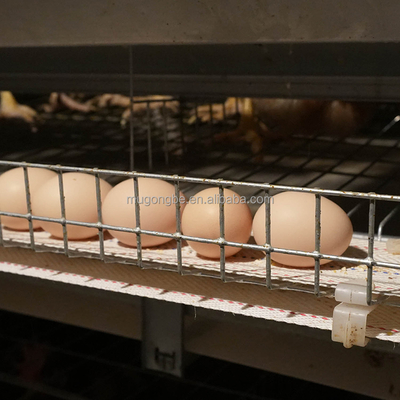 Automation Egg Layer Farming Chicken Cage for Poultry Farm Chicken House