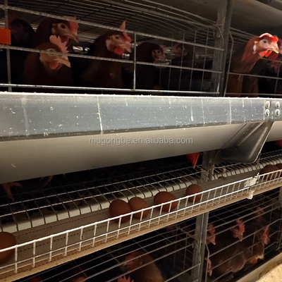 Automation Egg Layer Farming Chicken Cage for Poultry Farm Chicken House