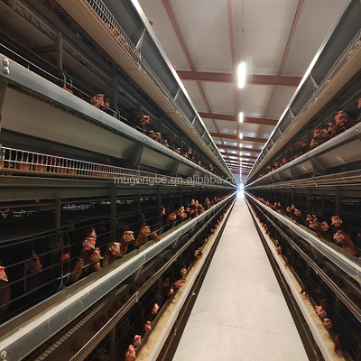 Automation Egg Layer Farming Chicken Cage for Poultry Farm Chicken House