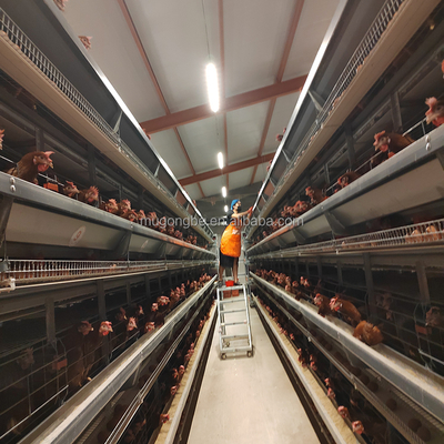 Automation Egg Layer Farming Chicken Cage for Poultry Farm Chicken House