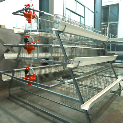 Modern Design Hot Dip Galvanized Egg Laying Hens Battery Layer Automatic Chicken Cages for Poultry Farming