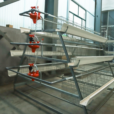 Automatic A-Type Battery Cage Equipment for Laying Chickens & Eggs Henhouse for Poultry Farming