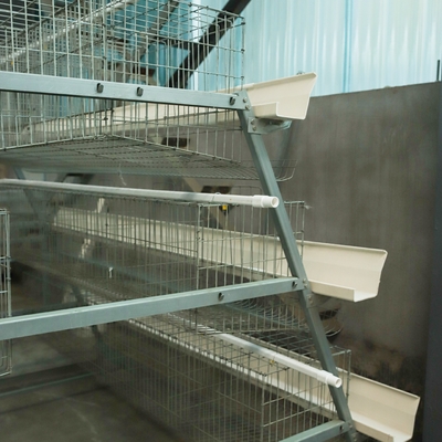Automatic A-Type Battery Cage Equipment for Laying Chickens & Eggs Henhouse for Poultry Farming