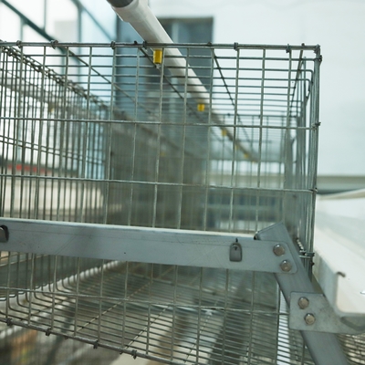 Automatic A-Type Battery Cage Equipment for Laying Chickens & Eggs Henhouse for Poultry Farming