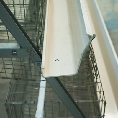 Automatic A-Type Battery Cage Equipment for Laying Chickens & Eggs Henhouse for Poultry Farming