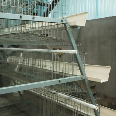 A Type Battery Layer Automatic Egg Poultry Farming Equipment System Chicken Cages for Poultry Farming