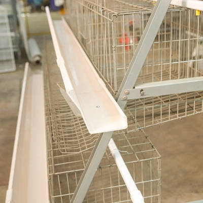 Layer Chicken Battery Cage for Chicken Breeding