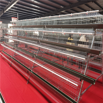 Layer Chicken Battery Cage for Chicken Breeding
