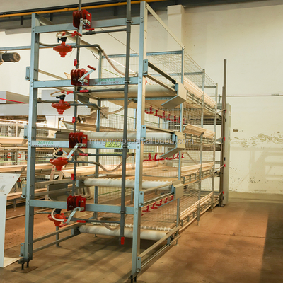 H Type Battery Layer Duck Rearing Cage Breeding Duck Cages for Ducks Farm