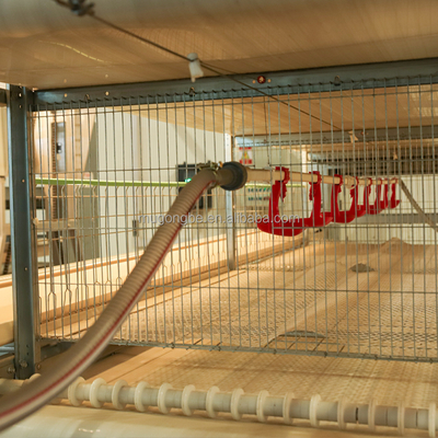 H Type Battery Layer Duck Rearing Cage Breeding Duck Cages for Ducks Farm