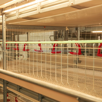 H Type 3/4/5 Tiers Battery Duck Cage Laying Elevated Duck Cages for Egg Layer Duck Farm